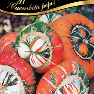 Турски тюрбан/Cucurbita pepo /