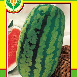 ДИНИ "КЛОНДАЙК"-3гр.