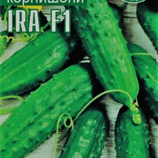 Корнишони- IRA F1 - 1гр.