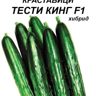 Краставици ТЕСТИ КИНГ F1-20бр.семена