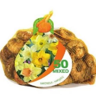 Нарцис TRUMPET MIX-50бр.
