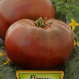 Черен домат-0.5gr.