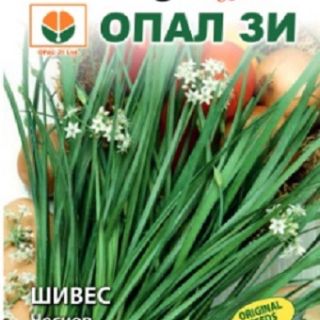 Шивес ЧЕСНОВ-2гр.