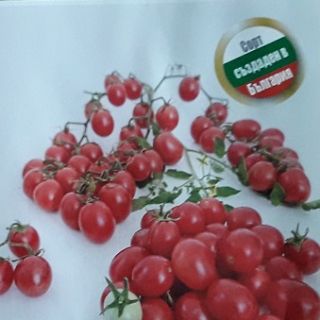 Домати Мини мис-10сем.