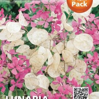 LUNARIA