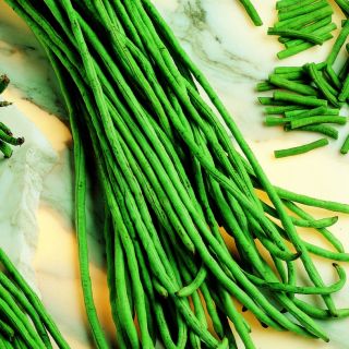 Градински зелен фасул UN METRO