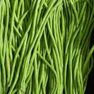 Градински зелен фасул UN METRO