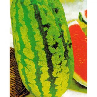 ДИНИ "КЛОНДАЙК"-3гр.