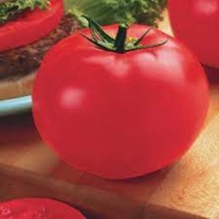 BIG BEEF F1 -20с.