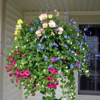 Микс ВИСЯЩИ КОШНИЦИ - 1gr.