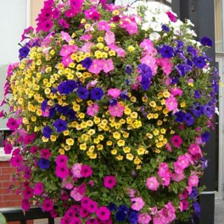 Микс ВИСЯЩИ КОШНИЦИ - 1gr.