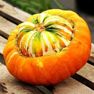 Турски тюрбан/Cucurbita pepo /