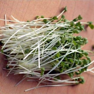 Семена за кълнове от Кейл (Kale)-100гр