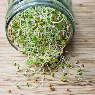 Семена за кълнове от Крес (Cress)-100гр