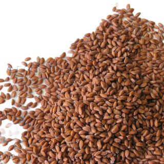 Семена за кълнове от Крес (Cress)-100гр