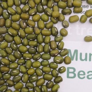 Семена за кълнове от Боб мунг (Mung bean)-100гр.
