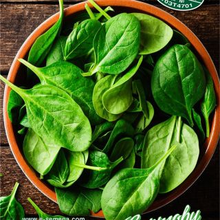 Бейби спанак /Greta F1/ - 5 гр