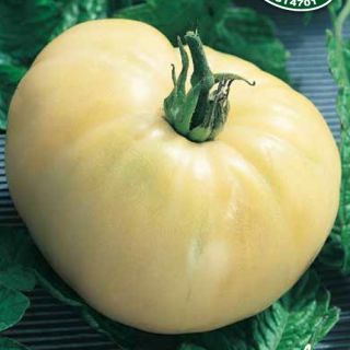 Домат Бяла красота / White Beauty Домат Бяла красота / White Beauty