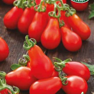 Домат чери червено крушовидно / Red Pear Домат чери червено крушовидно / Red Pear