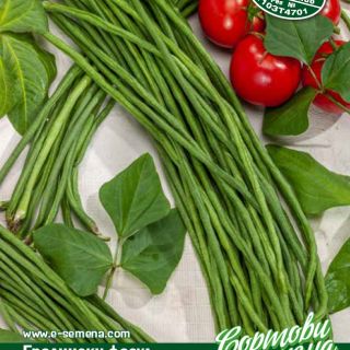 Градински зелен фасул UN METRO Градински зелен фасул UN METRO